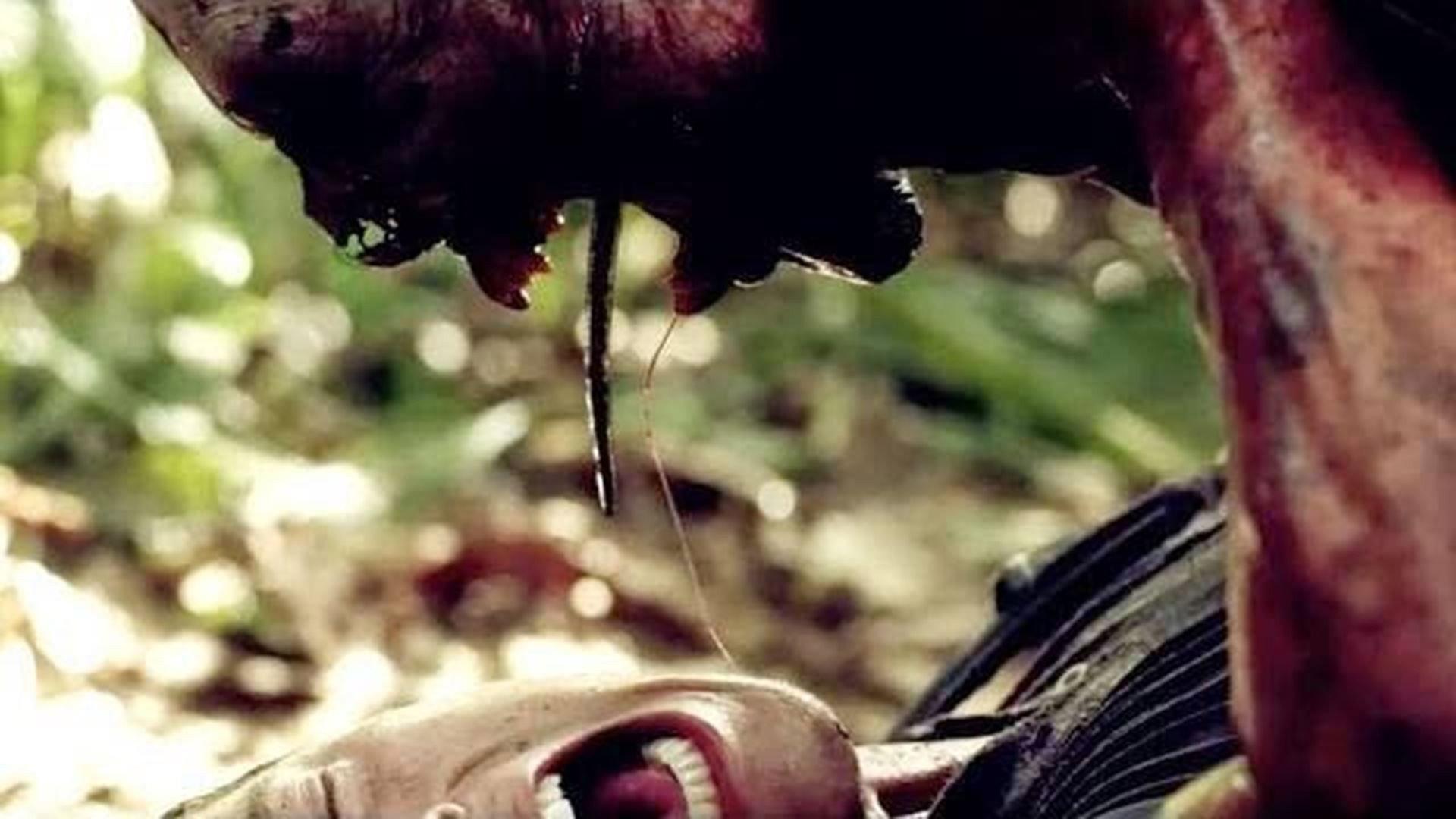 Indigenous 2014 movie scene