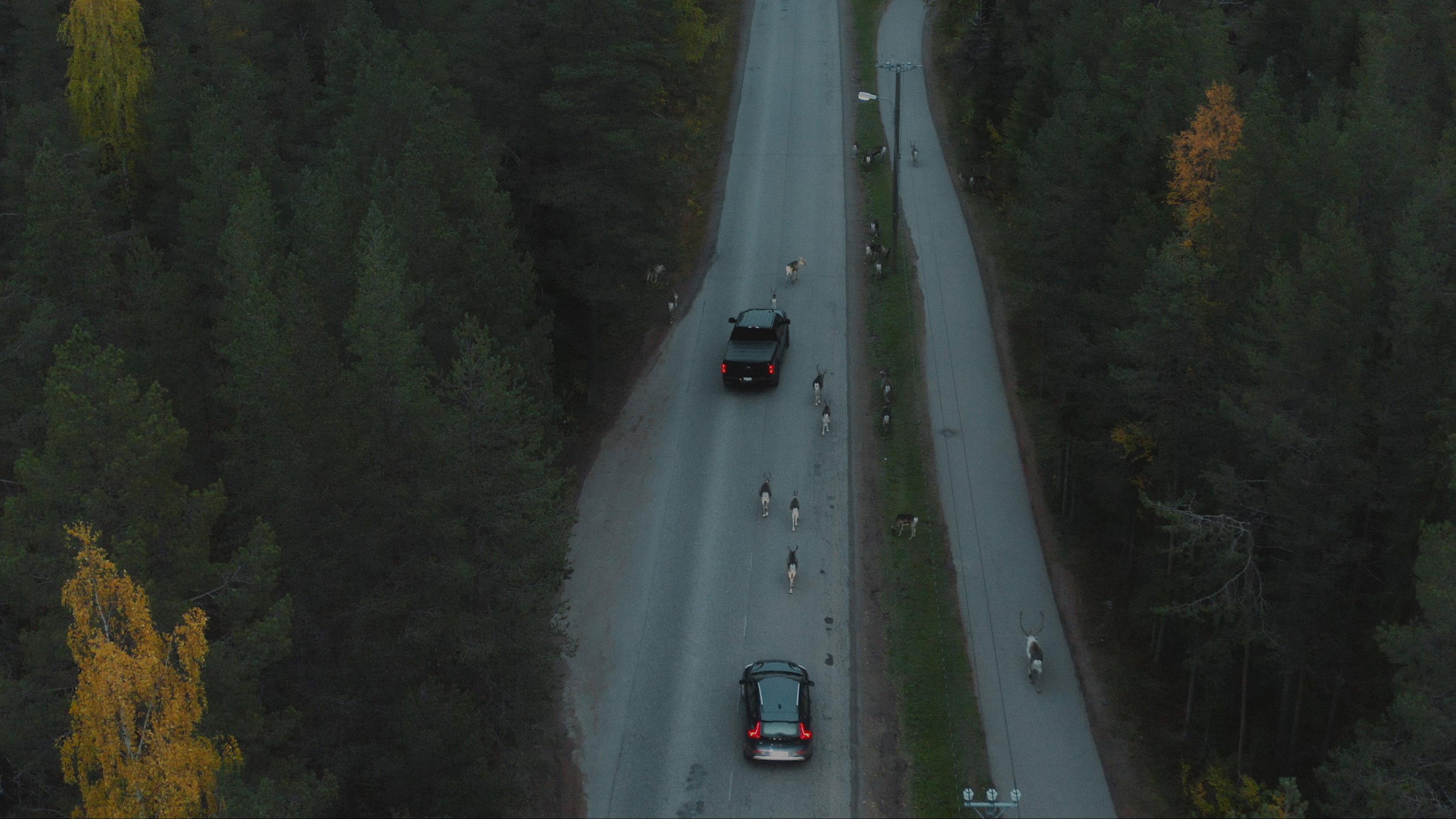 Snowball Effect 2023 movie scene