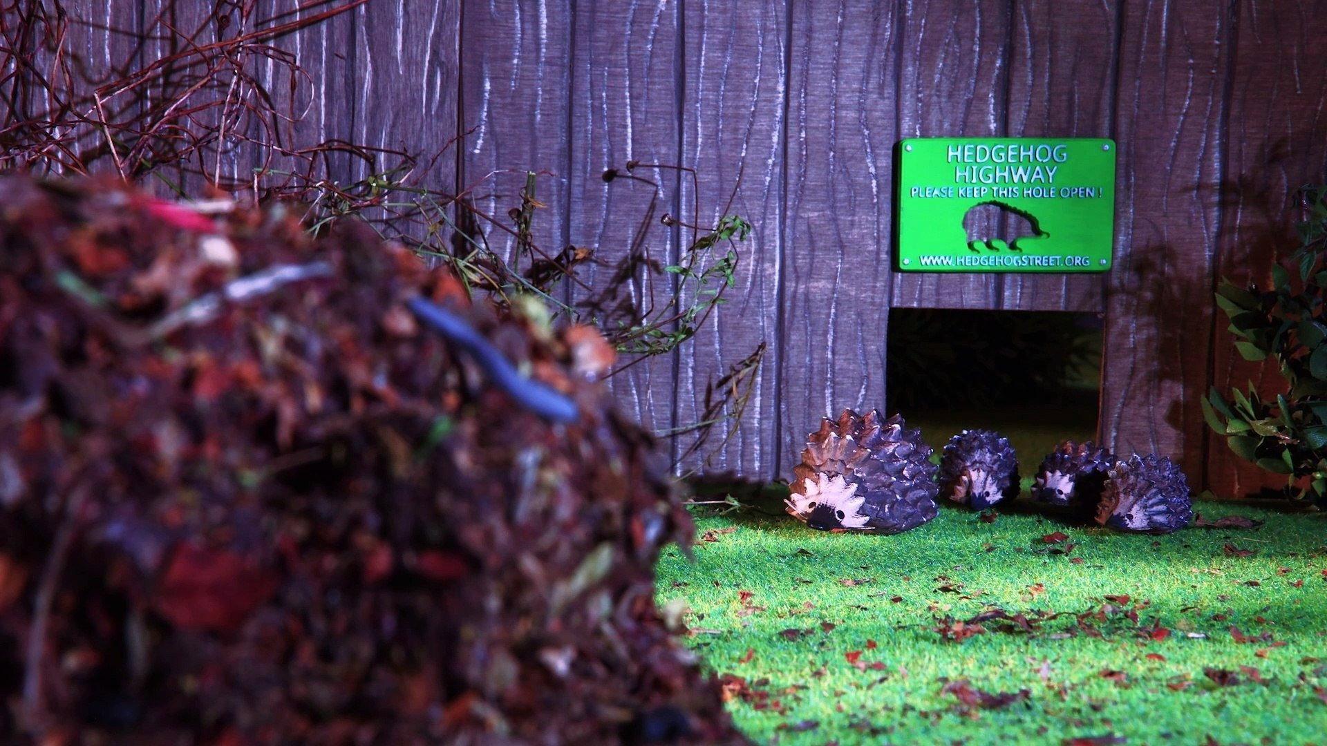 The Littlest Hoglet - Director's Cut movie scene