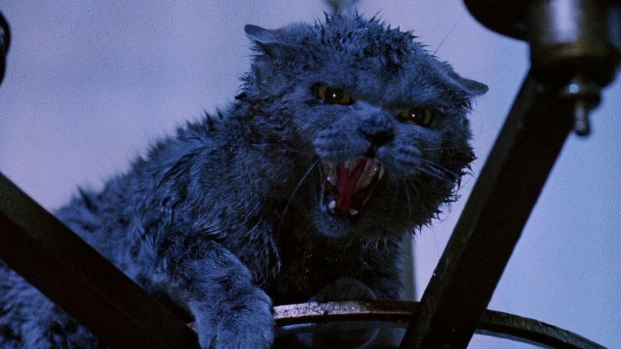 Strays 1991 movie scene
