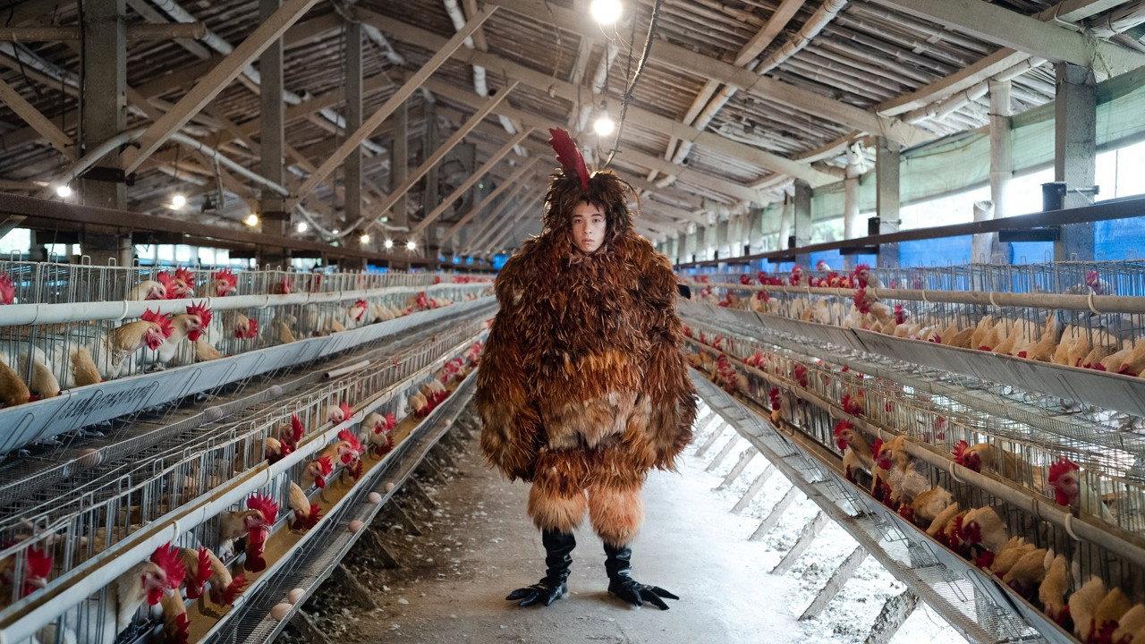 A Cockerel’s Tale 2019 movie scene