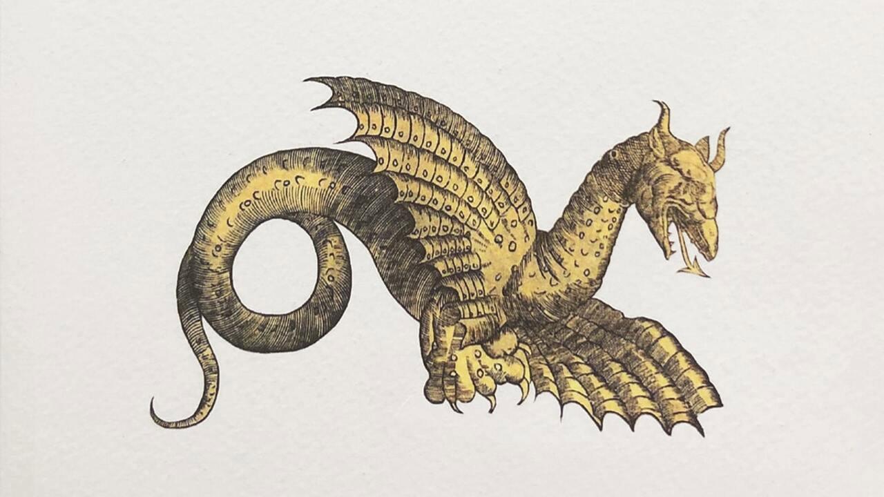 Draconis. La Storia del Drago di Rimini 2022 movie scene