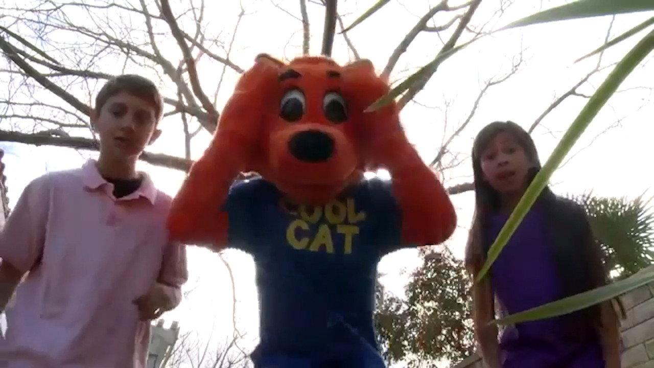 Cool Cat Finds a Gun 2013 movie scene