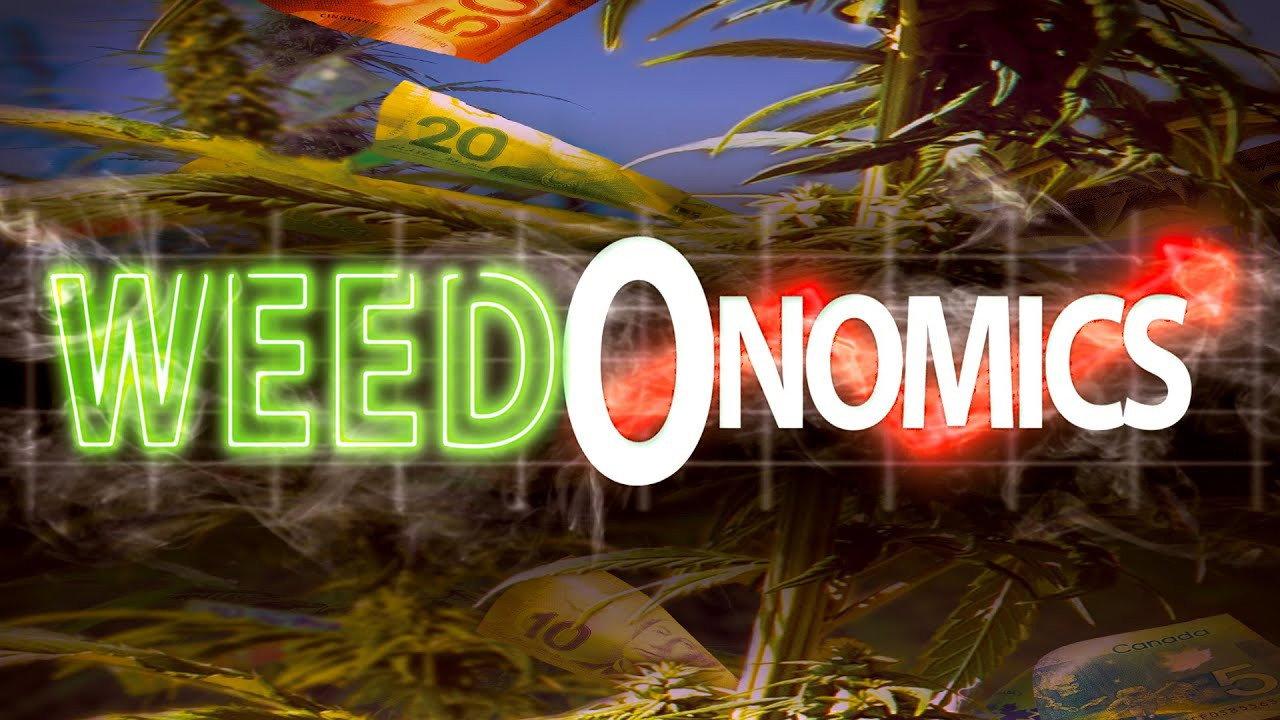 Weedonomics 2021 movie scene