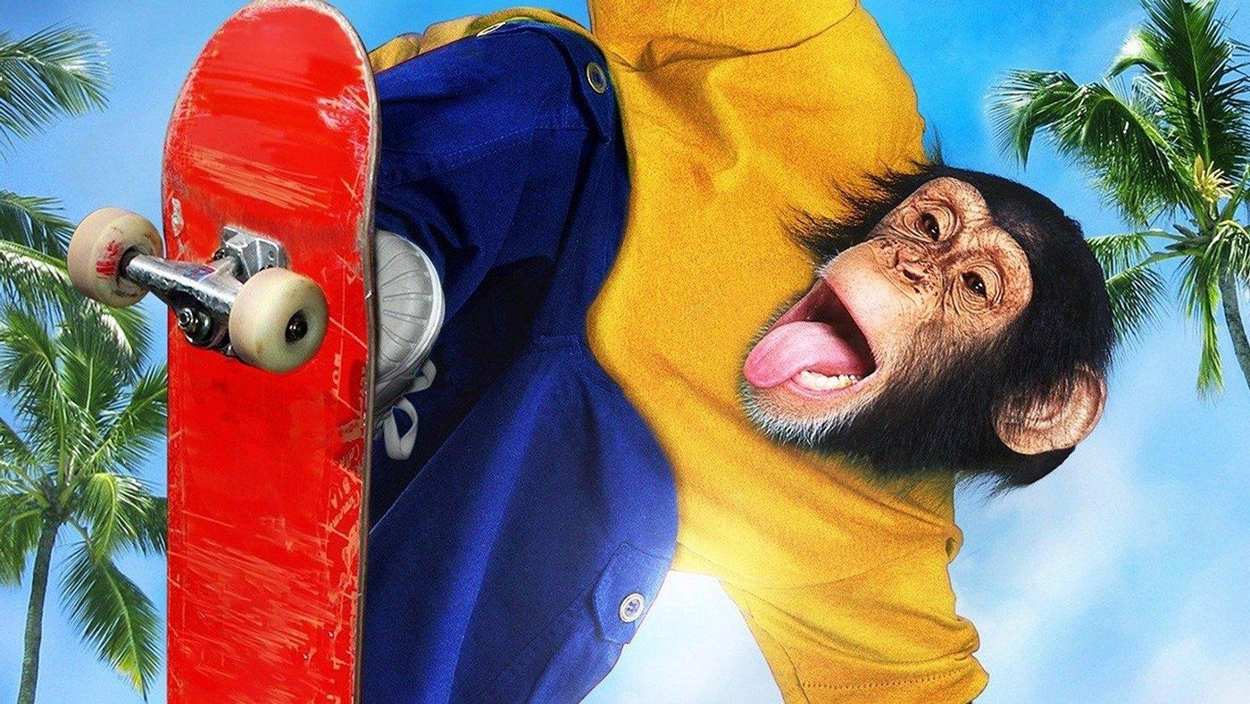 MVP 2: Most Vertical Primate 2001 movie scene