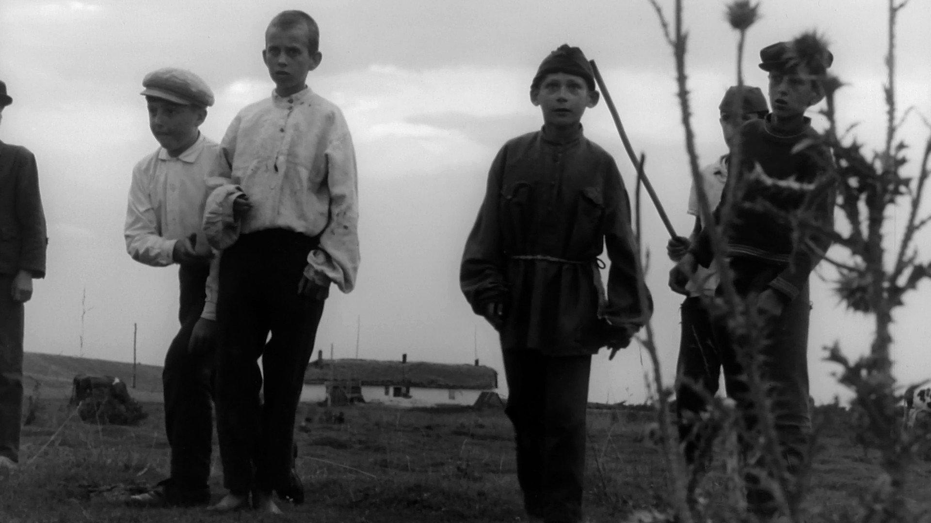 Stray 1973 movie scene