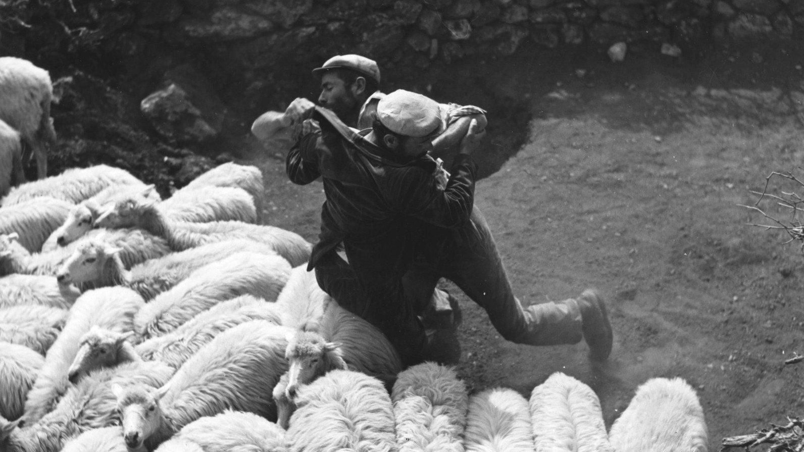 Bandits of Orgosolo 1961 movie scene