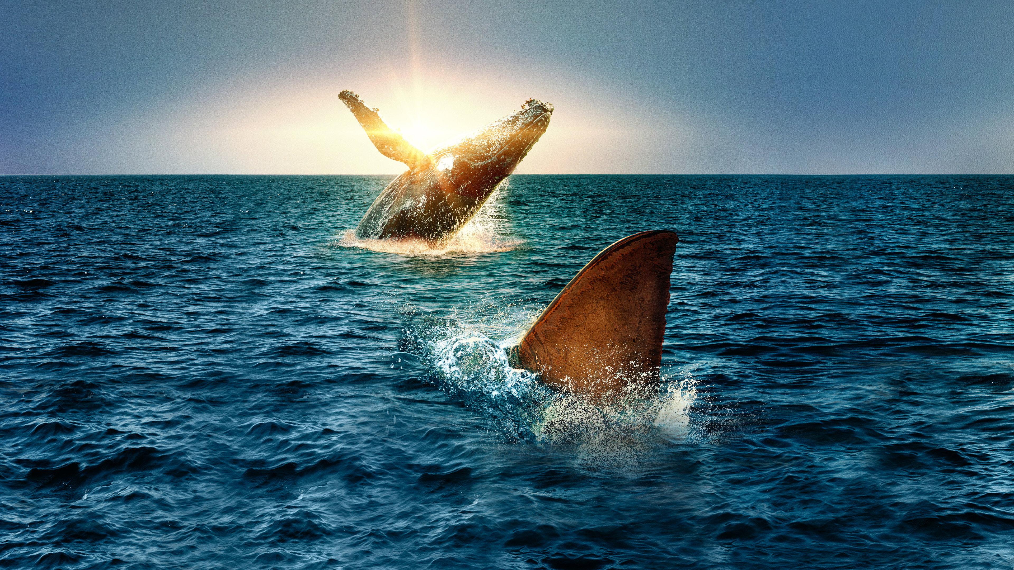 Shark Vs. Whale 2020 movie scene