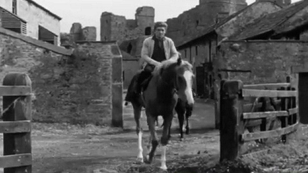 Whicker Meets - The Trainers 1968 movie scene