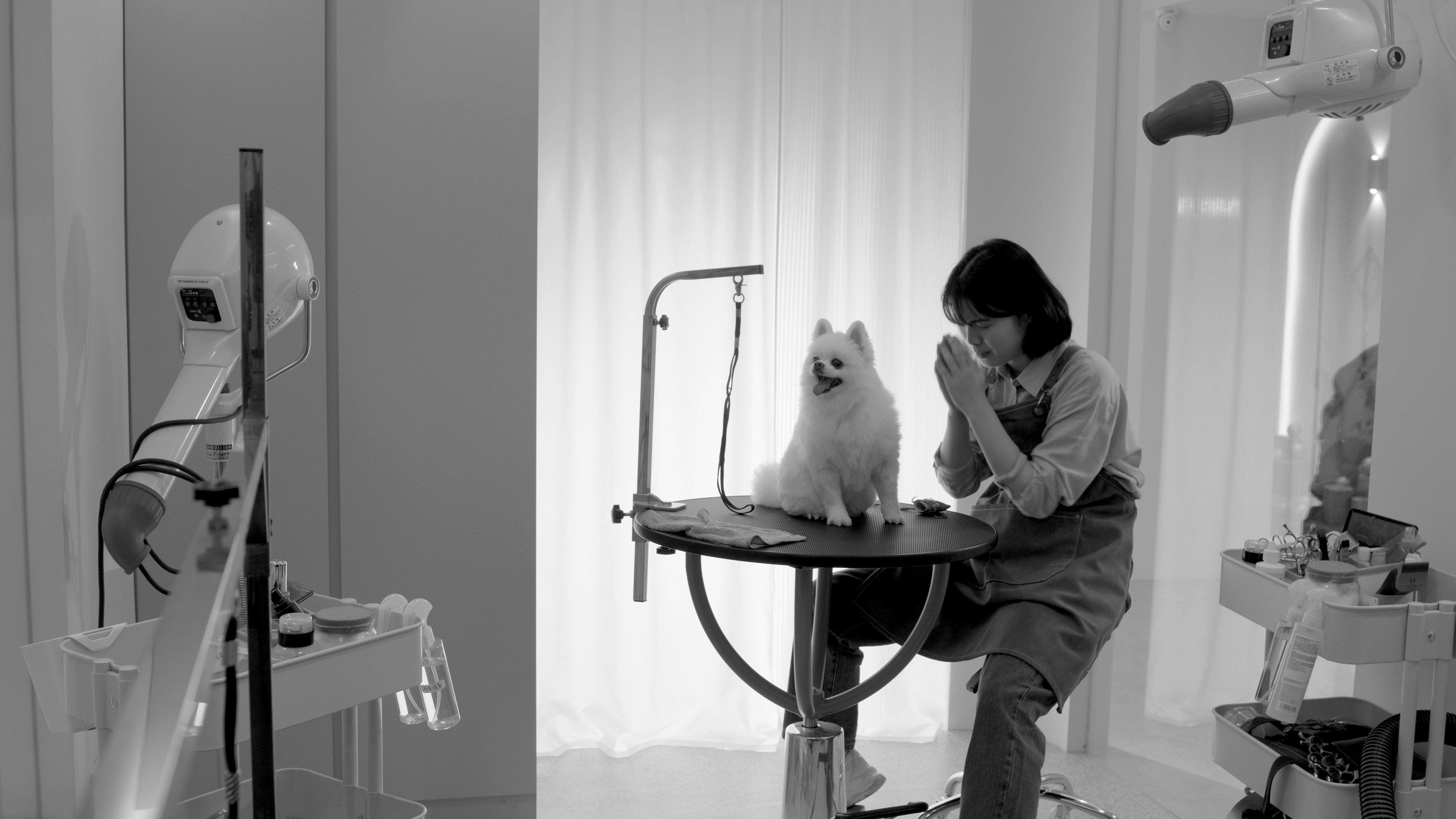 Good Dog's Life 2024 movie scene