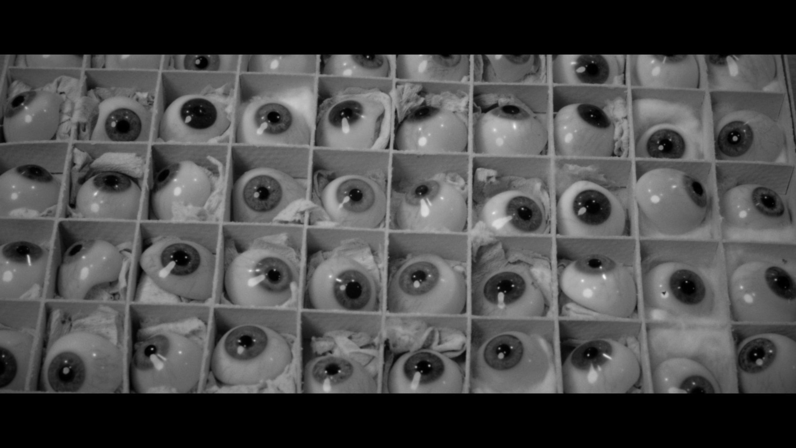 Folds 2022 movie scene
