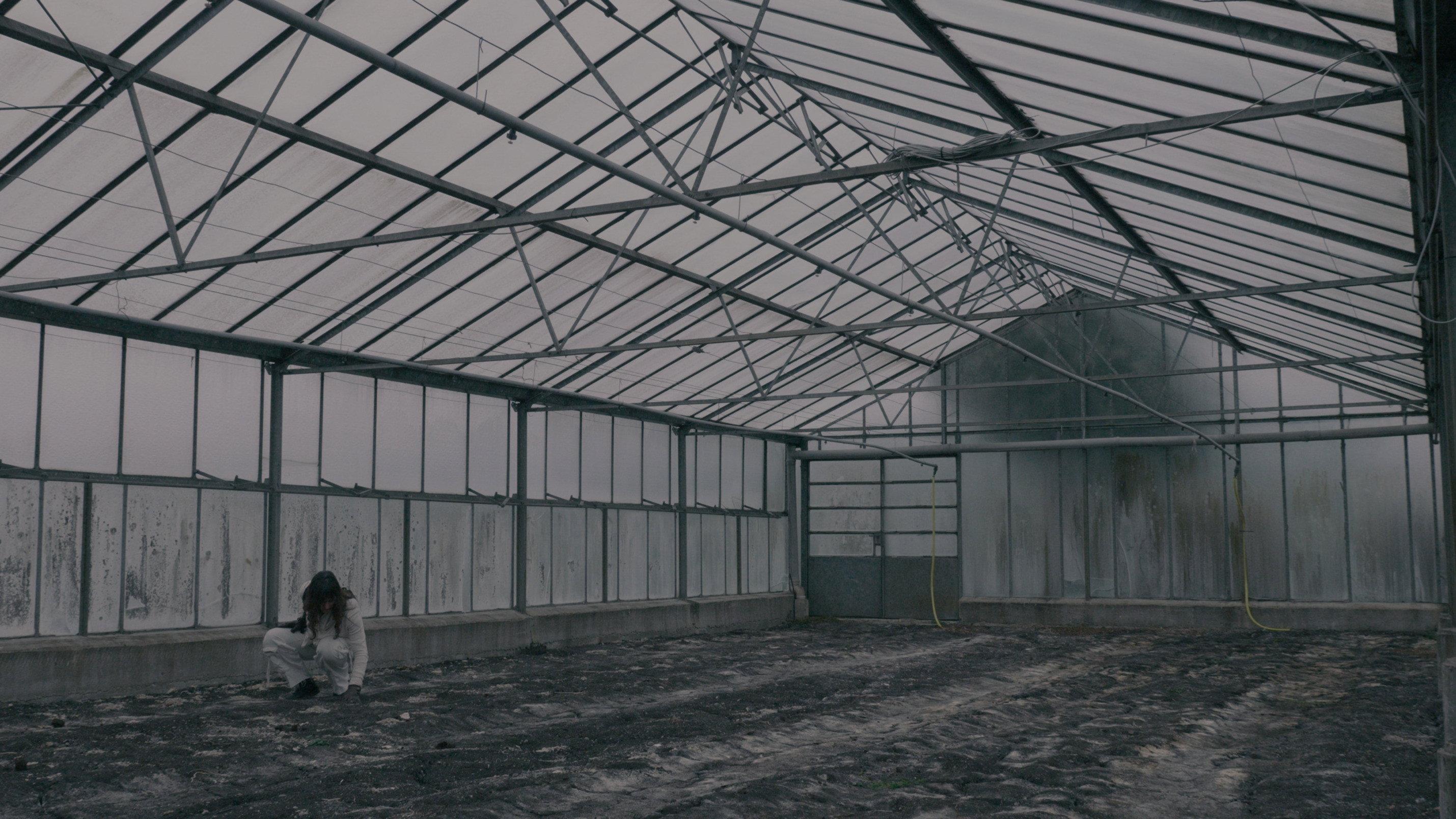 BLOOM - A Dystopian Short Film movie scene