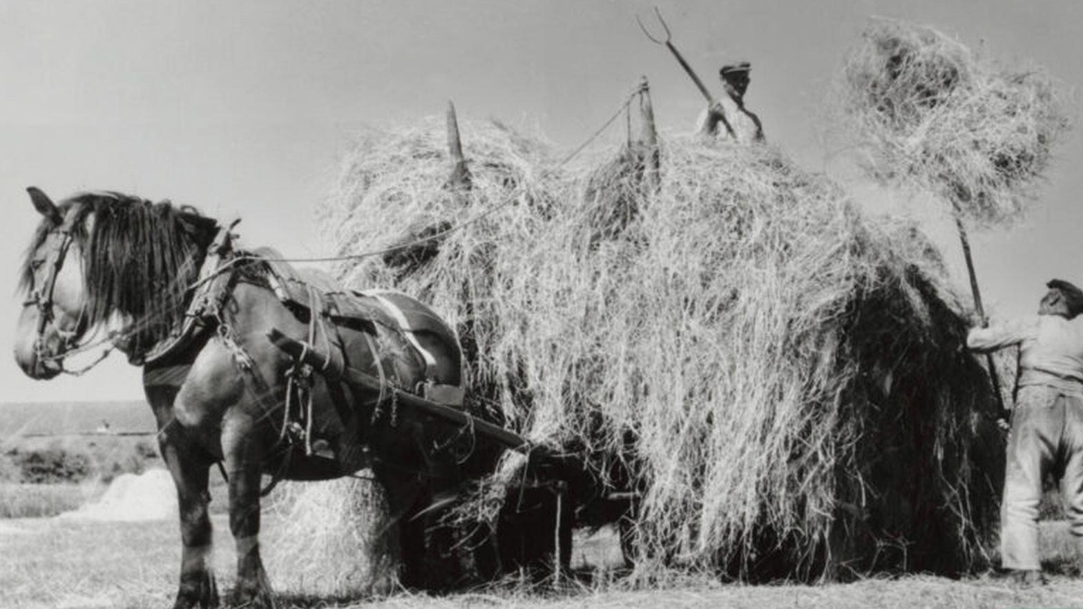 Peasant Symphony 1944 movie scene