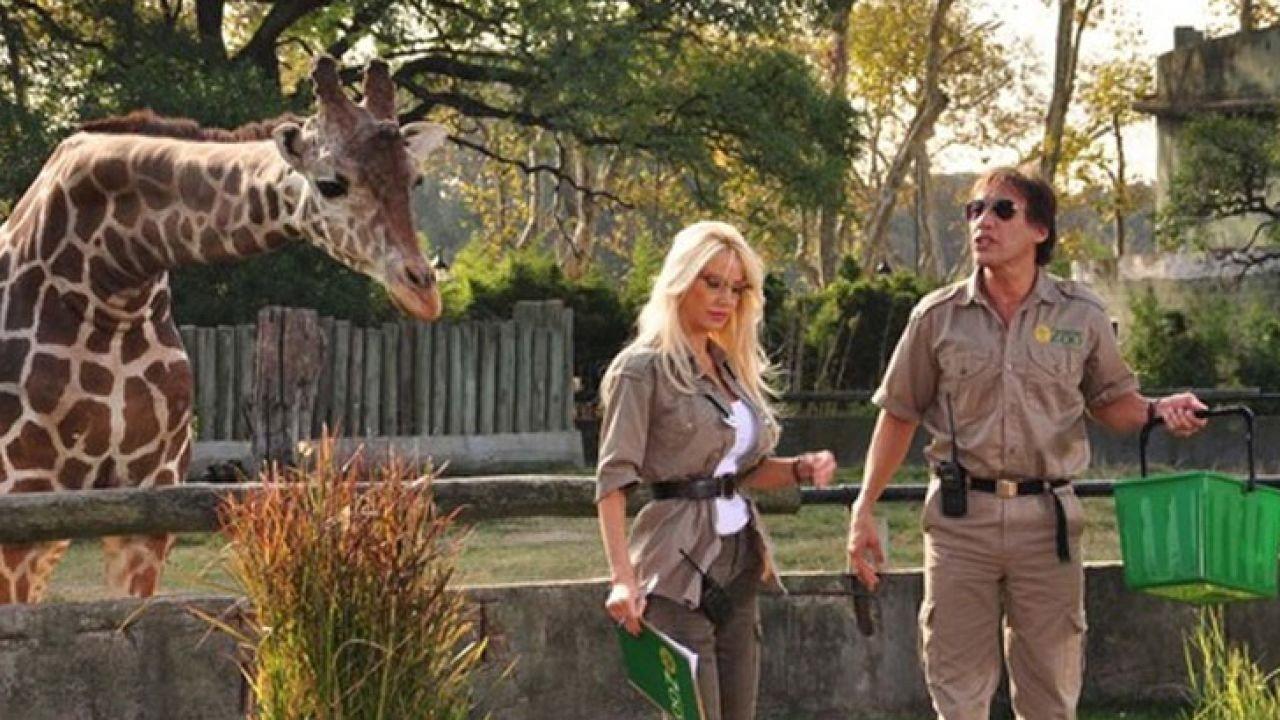 Locos sueltos en el zoo 2015 movie scene