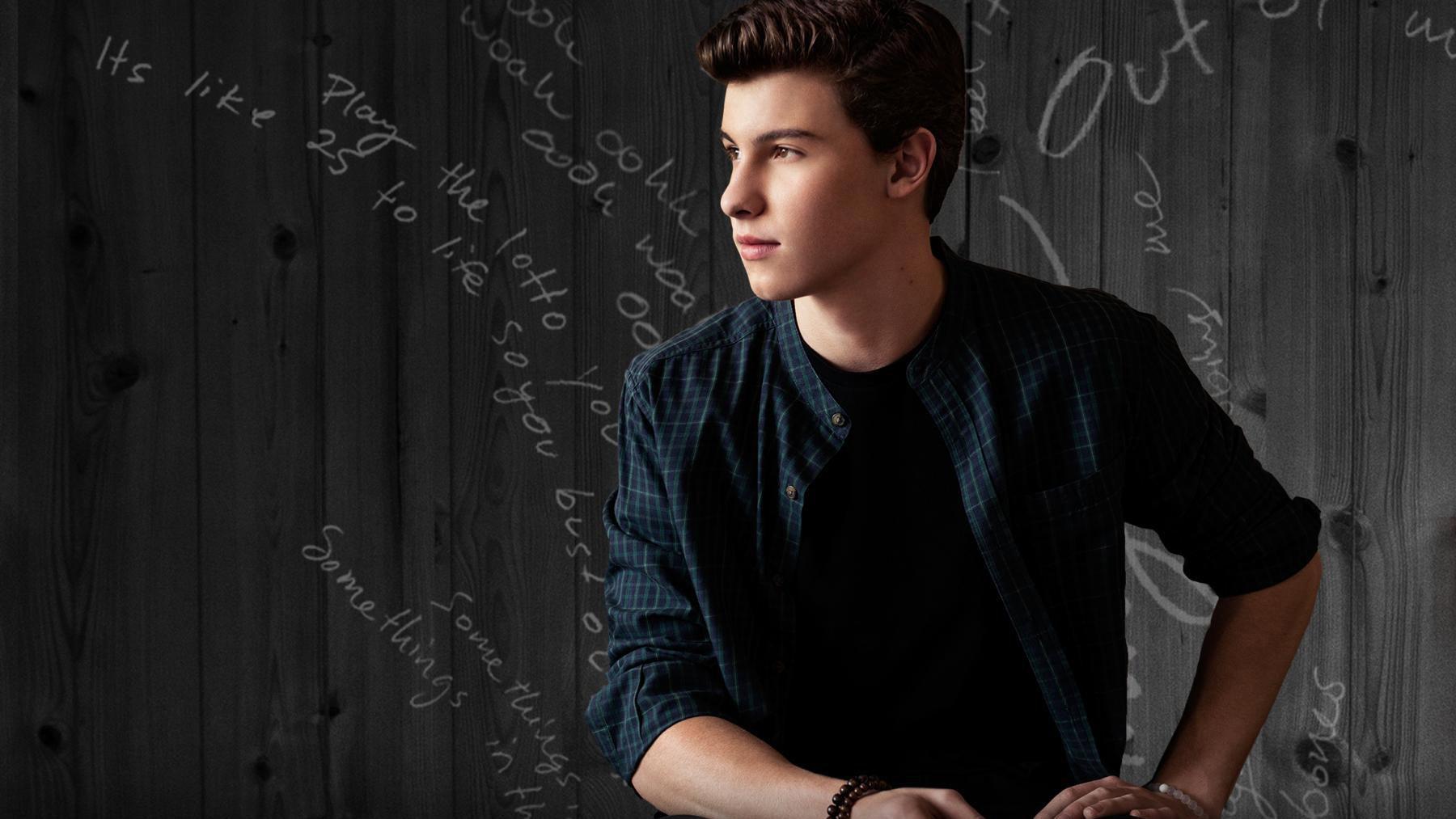 Shawn Mendes: Live at the Greek Theatre 2016 movie scene