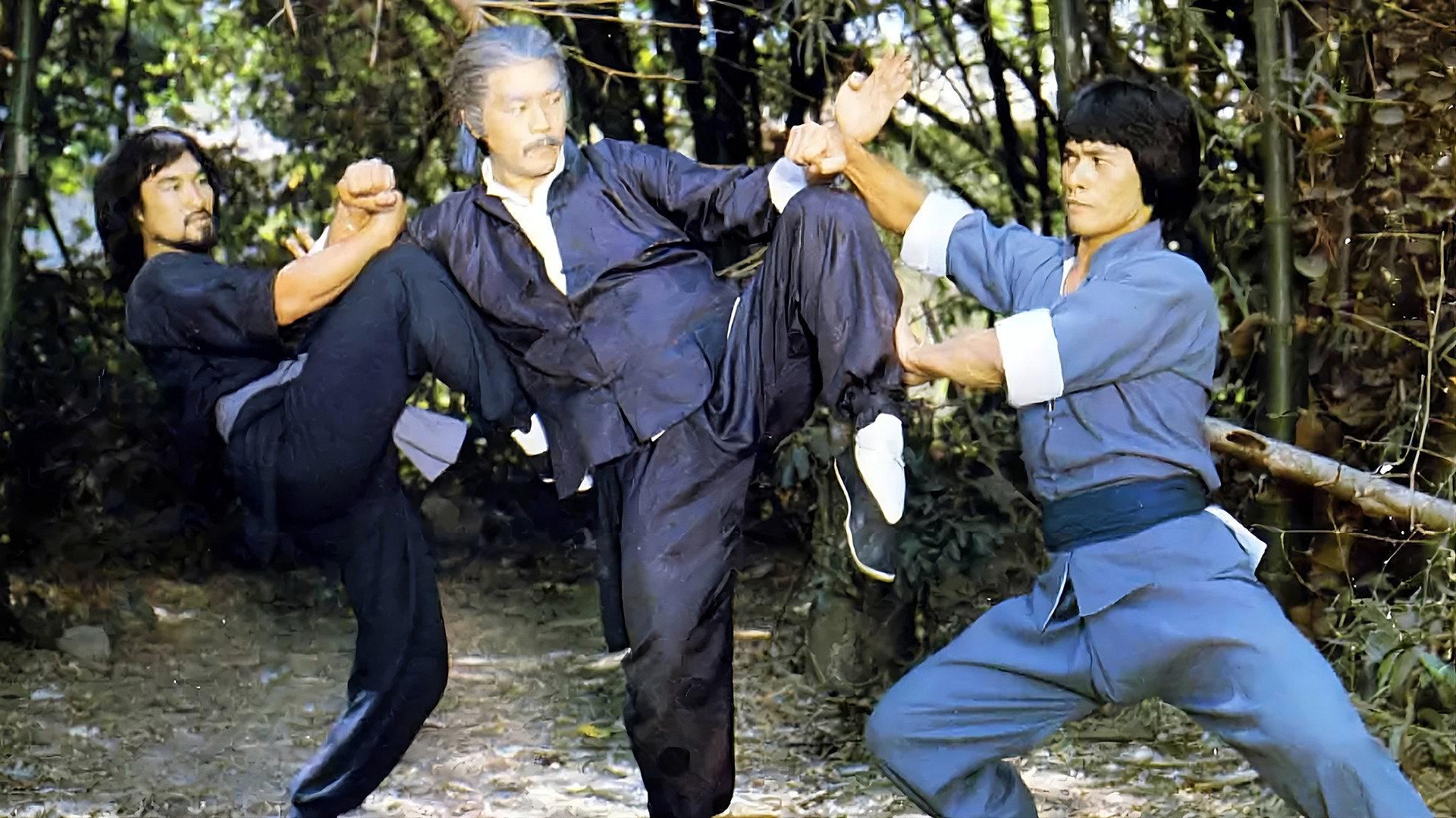 Fearless Dragons 1980 movie scene