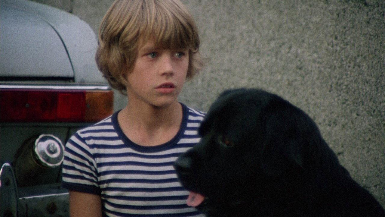 Hang on, Doggy 1977 movie scene