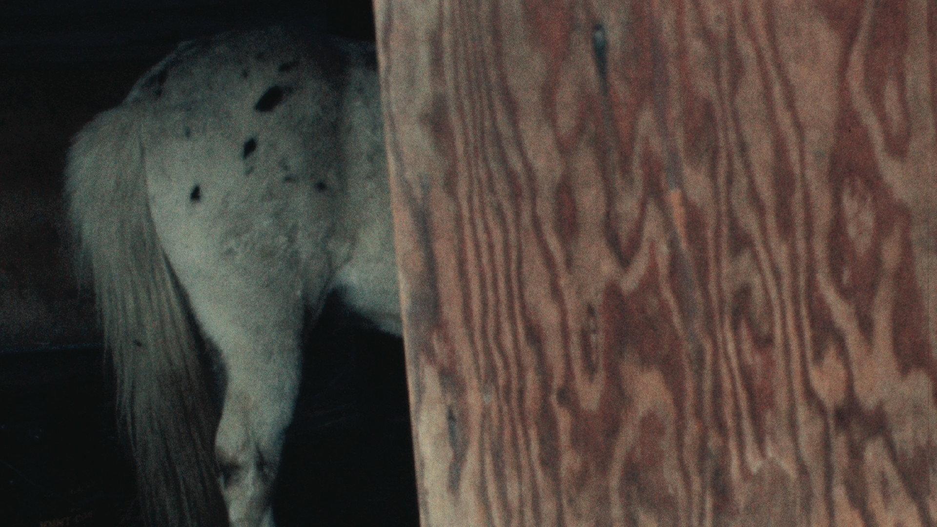 Horseflesh 1975 movie scene