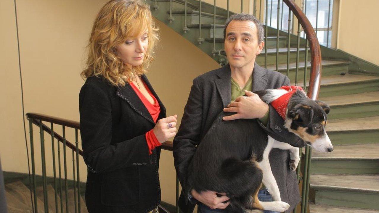 Un divorce de chien 2010 movie scene