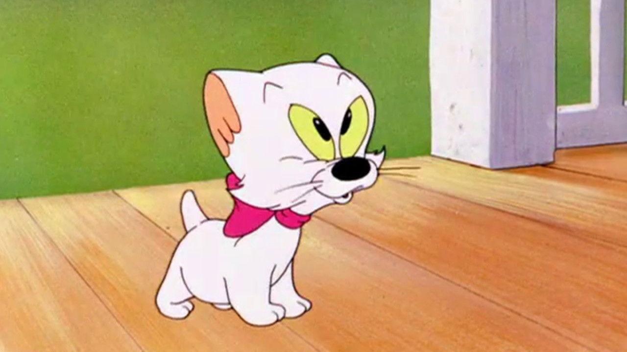 Kiddin' the Kitten 1952 movie scene