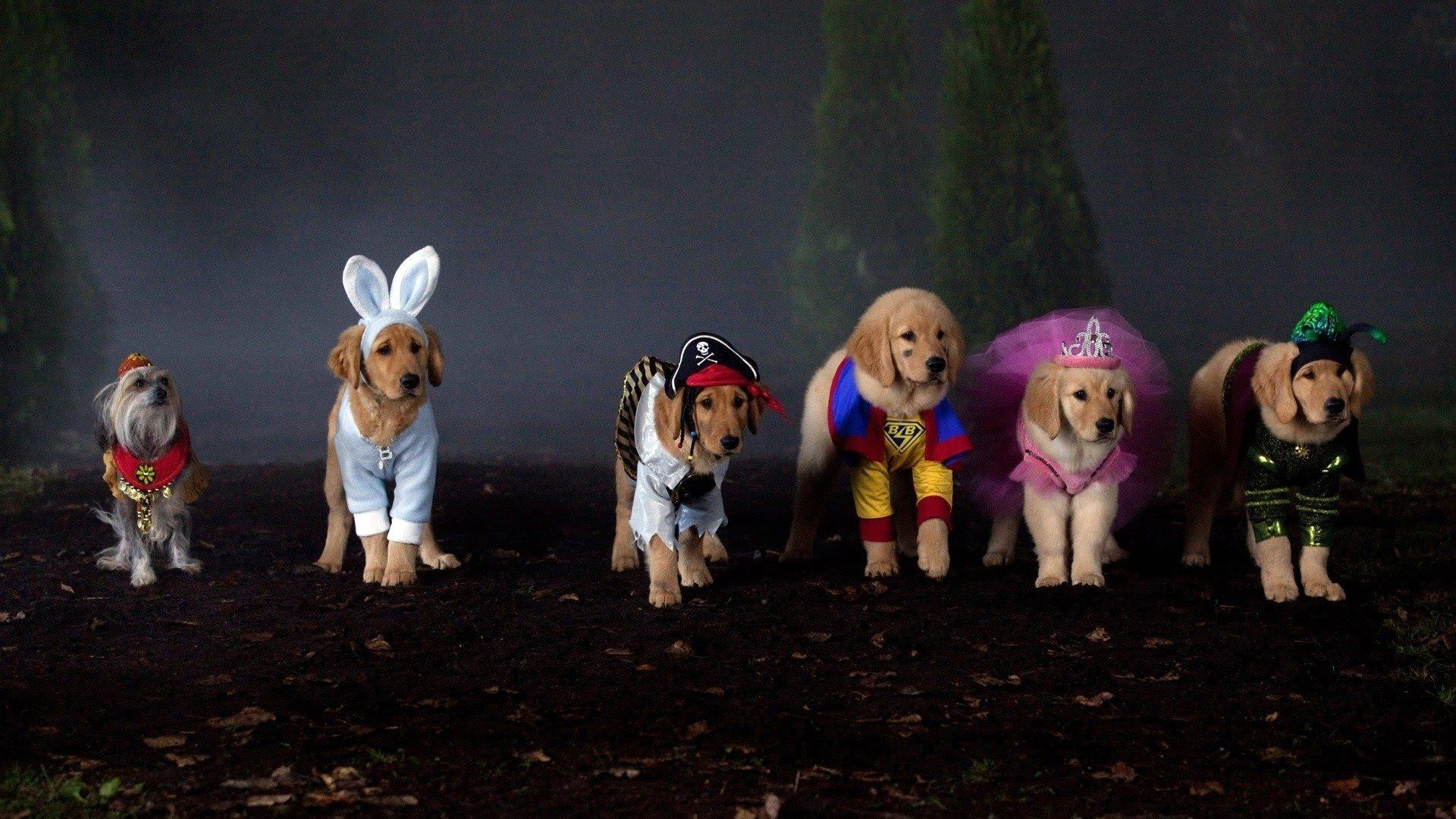 Spooky Buddies 2011 movie scene