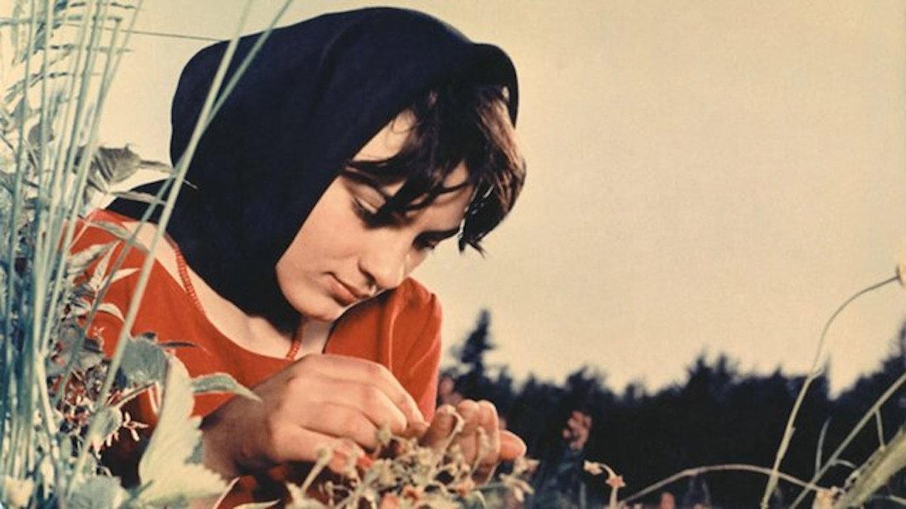The Red Meadows 1966 movie scene