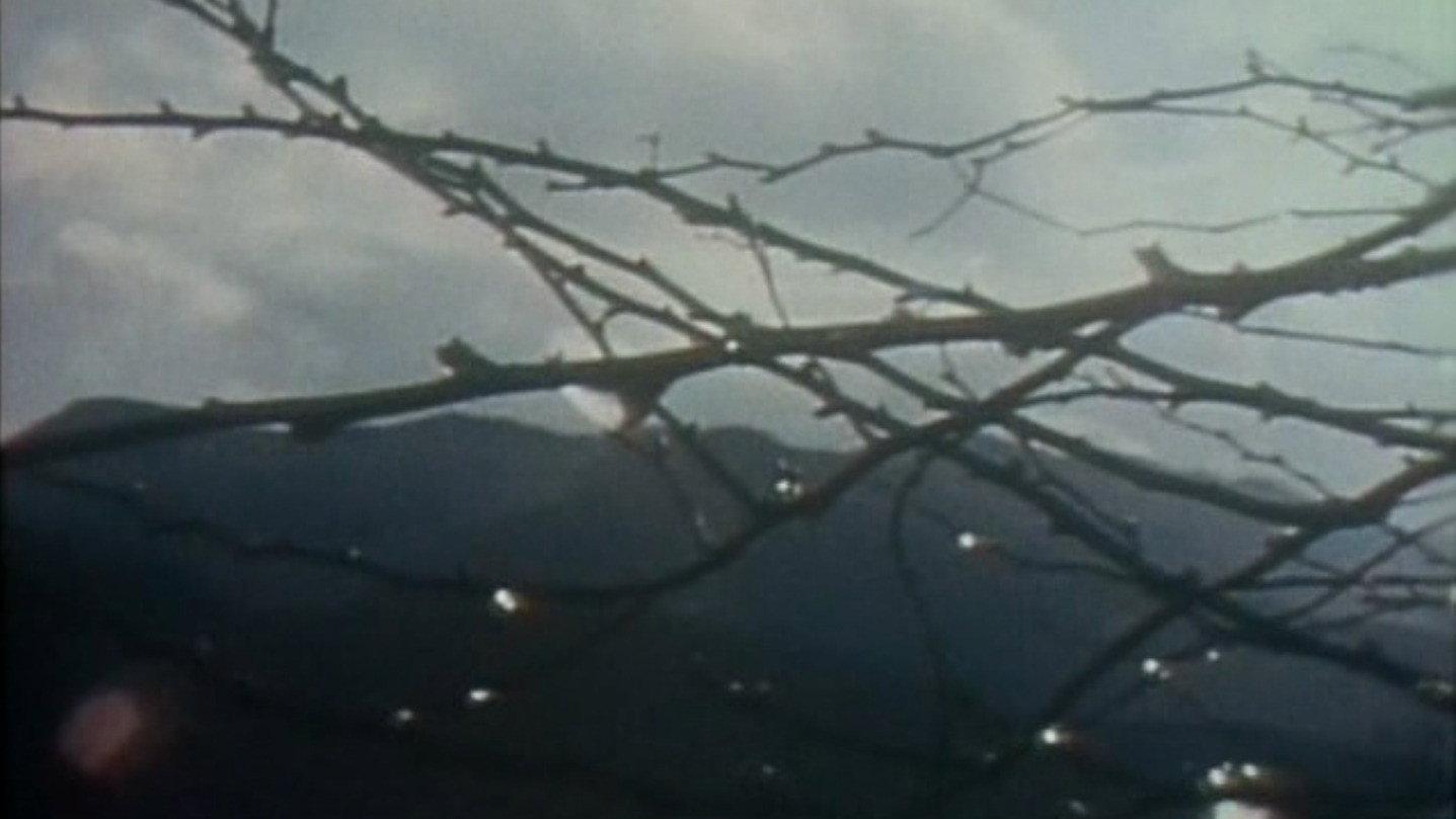 The Weald 1998 movie scene