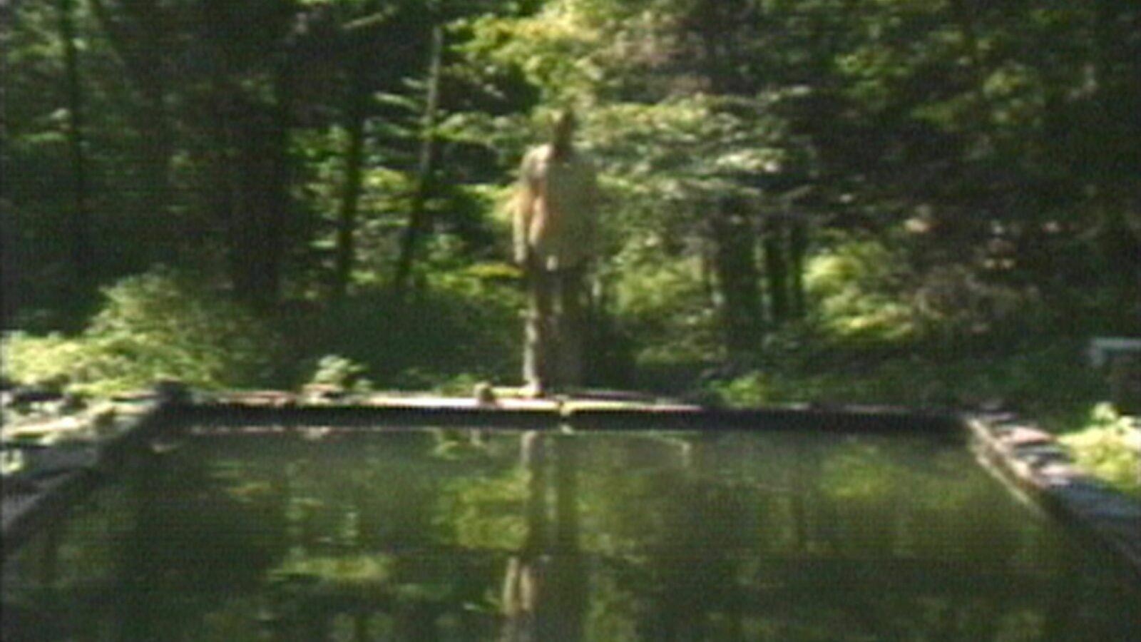 The Reflecting Pool 1979 movie scene