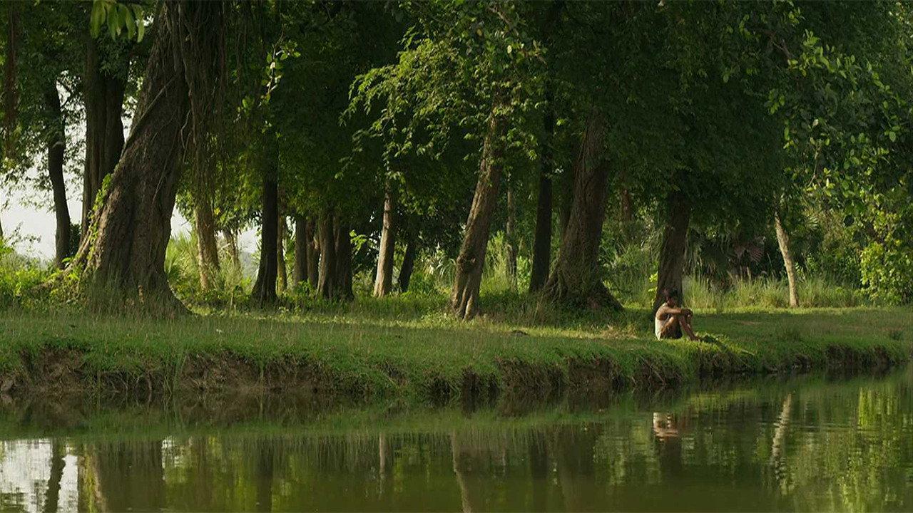 Colours of Innocence 2016 movie scene