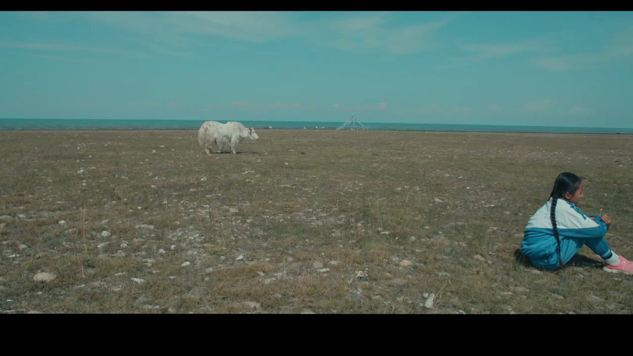 The White Yak 2019 movie scene