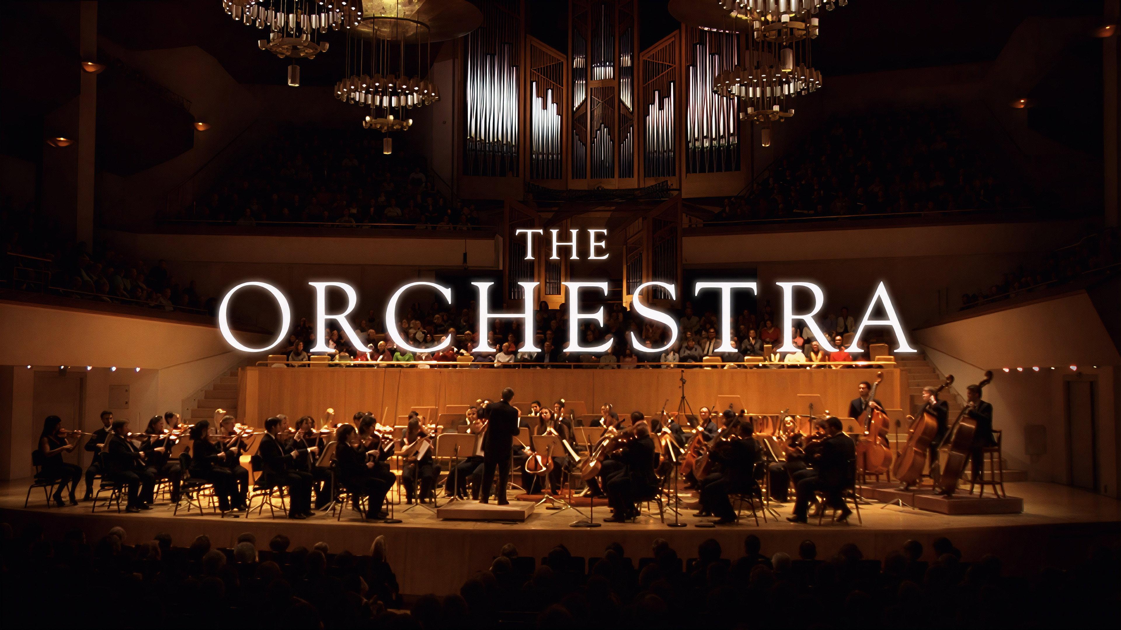 The Orchestra: Claudio Abbado and the Musicians of the Orchestra Mozart movie scene