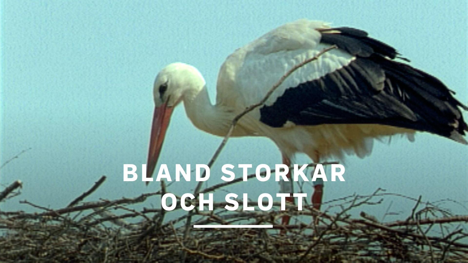 Bland storkar och slott 1996 movie scene