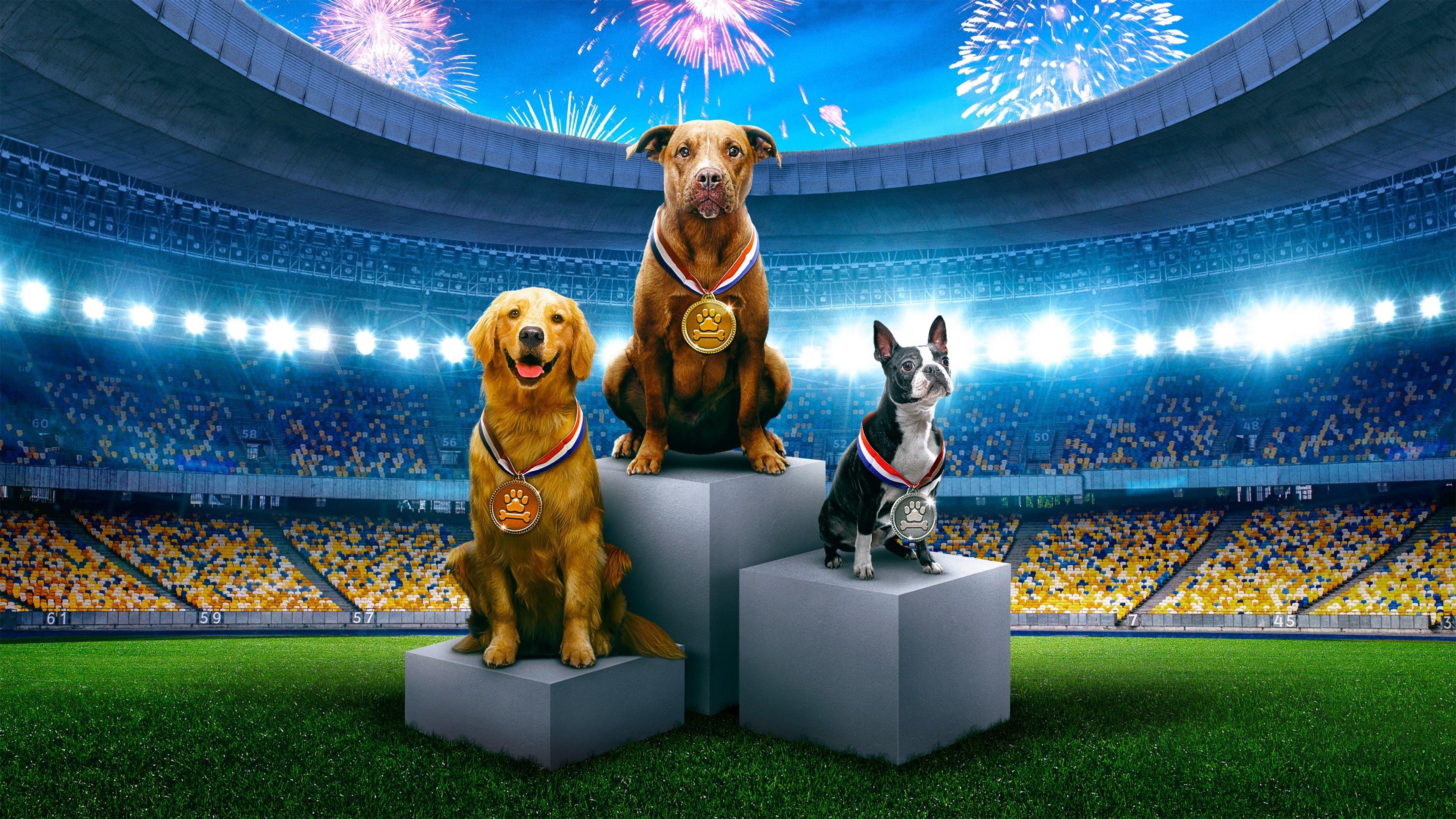 Puppy Bowl Presents: The Summer Games 2021 movie scene