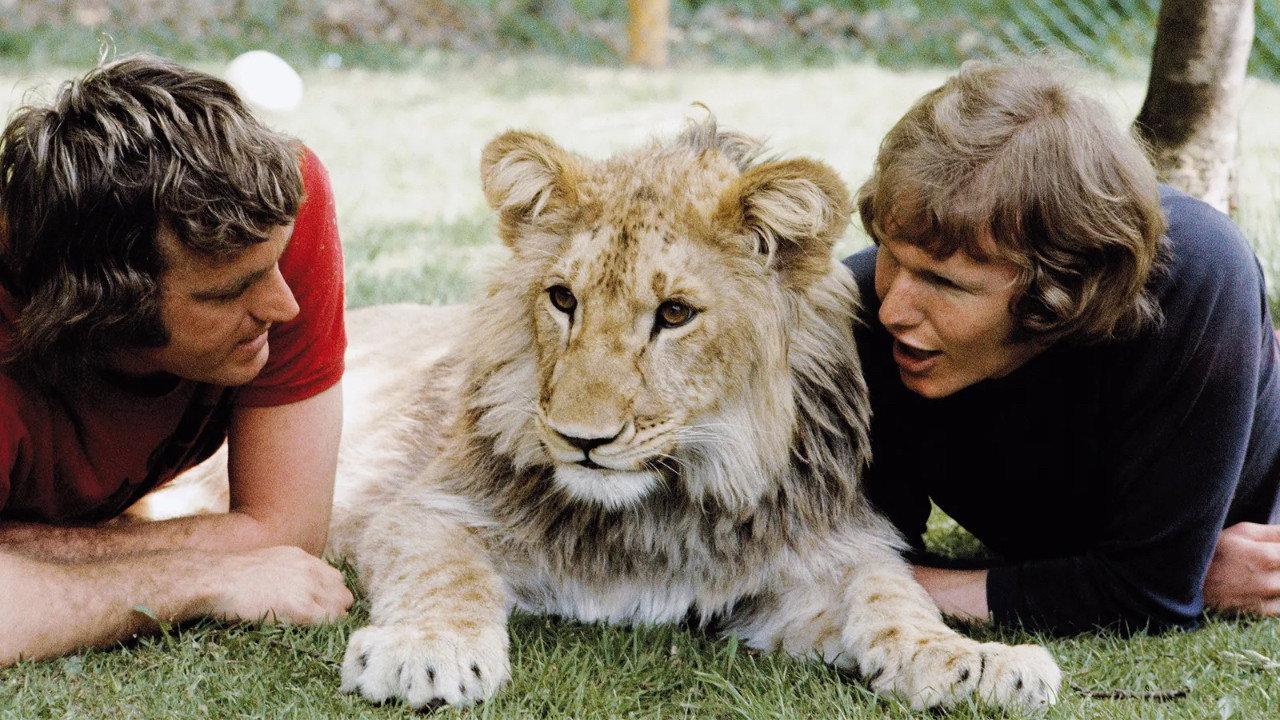 A Lion Called Christian 2009 movie scene