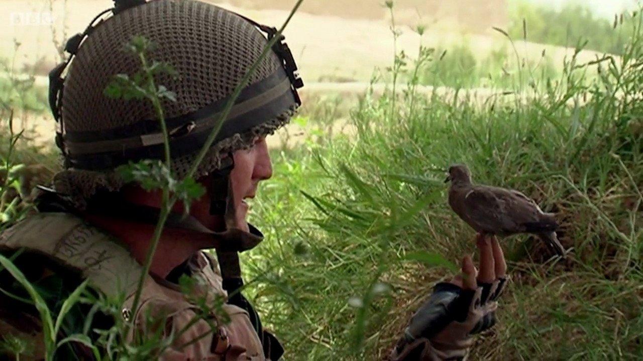 Bitter Lake 2015 movie scene