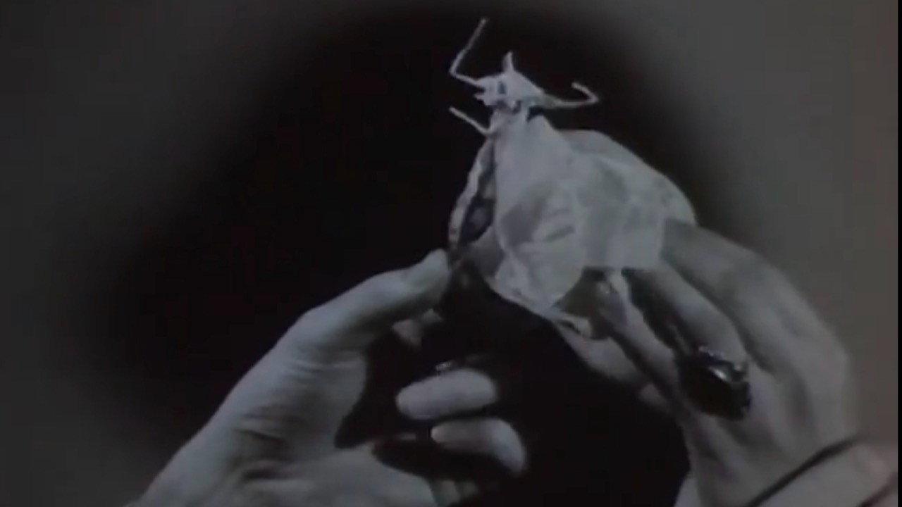 Expectation 1962 movie scene