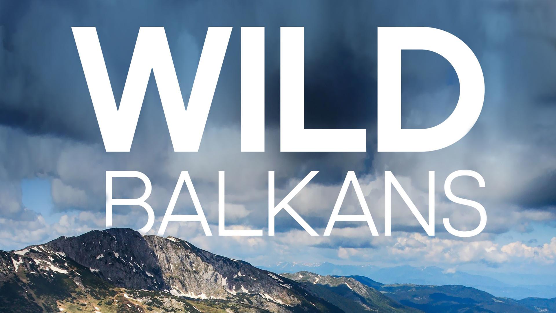 Wild Balkans 2009 movie scene