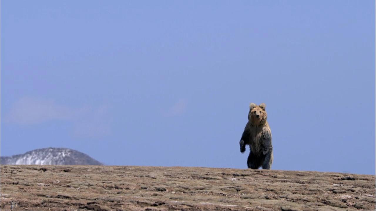 The Himalayas 2011 movie scene