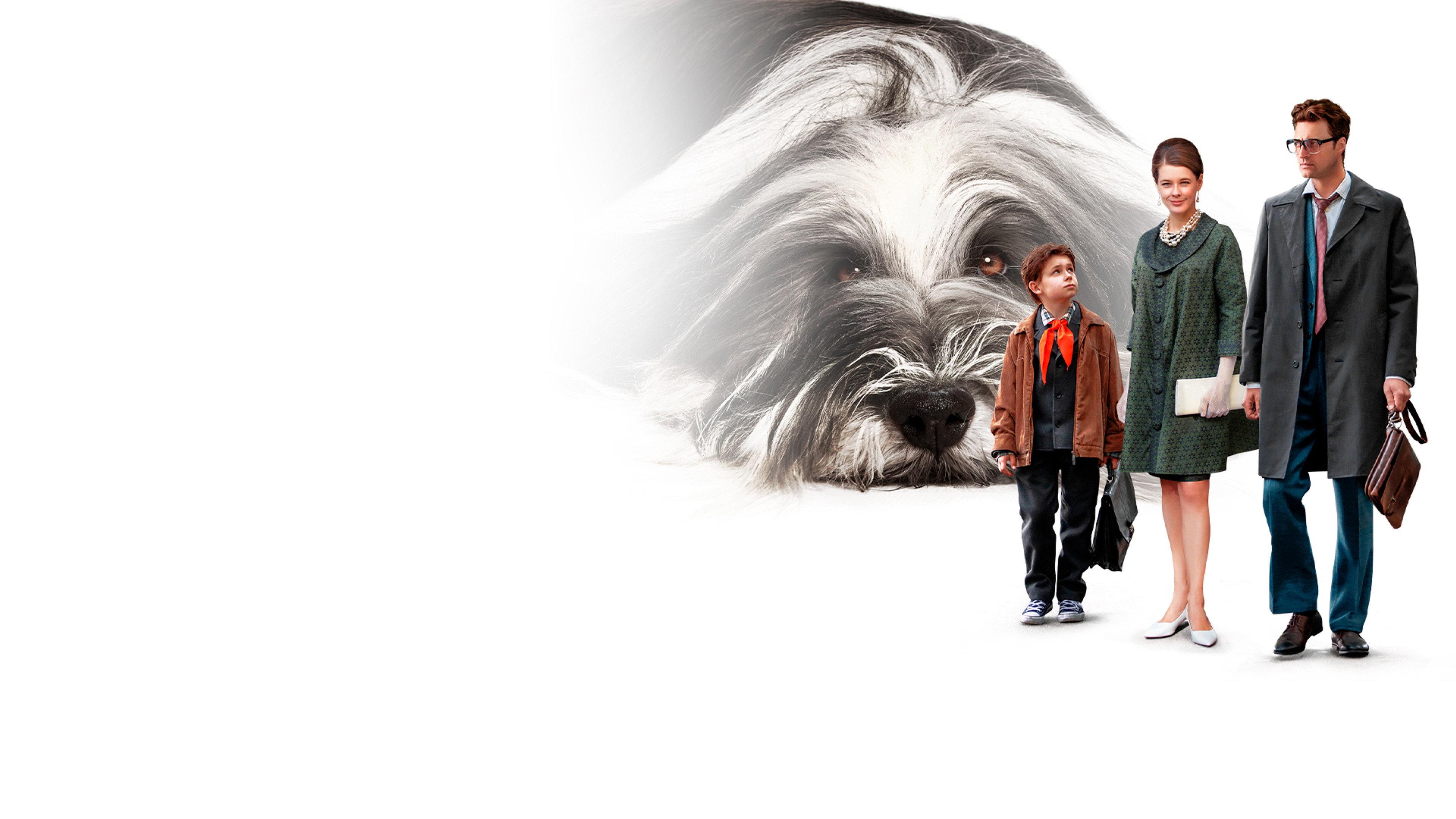 Everyone Dreams of a Dog 2024 movie scene