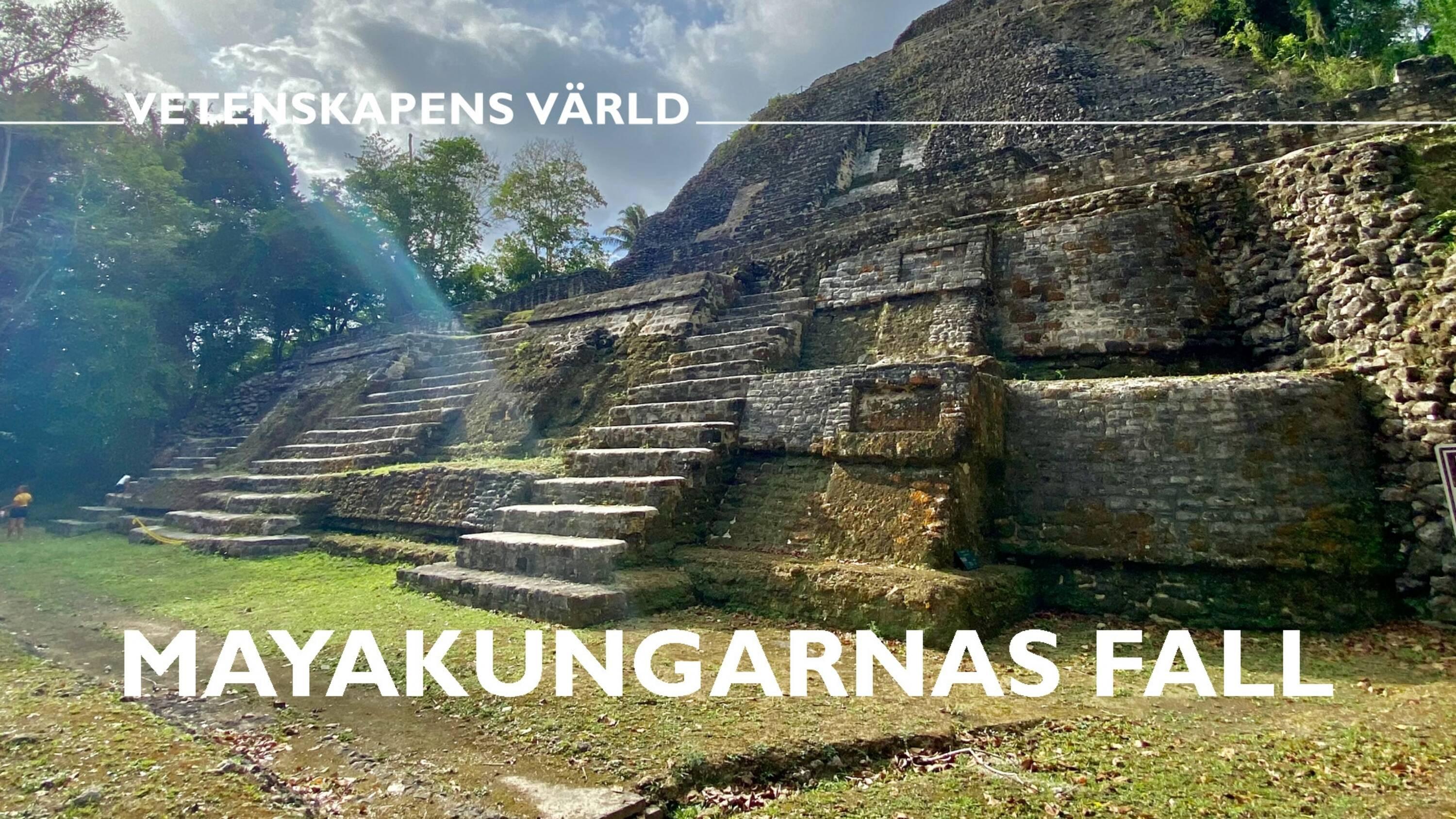 Mayakungarnas fall 2023 movie scene
