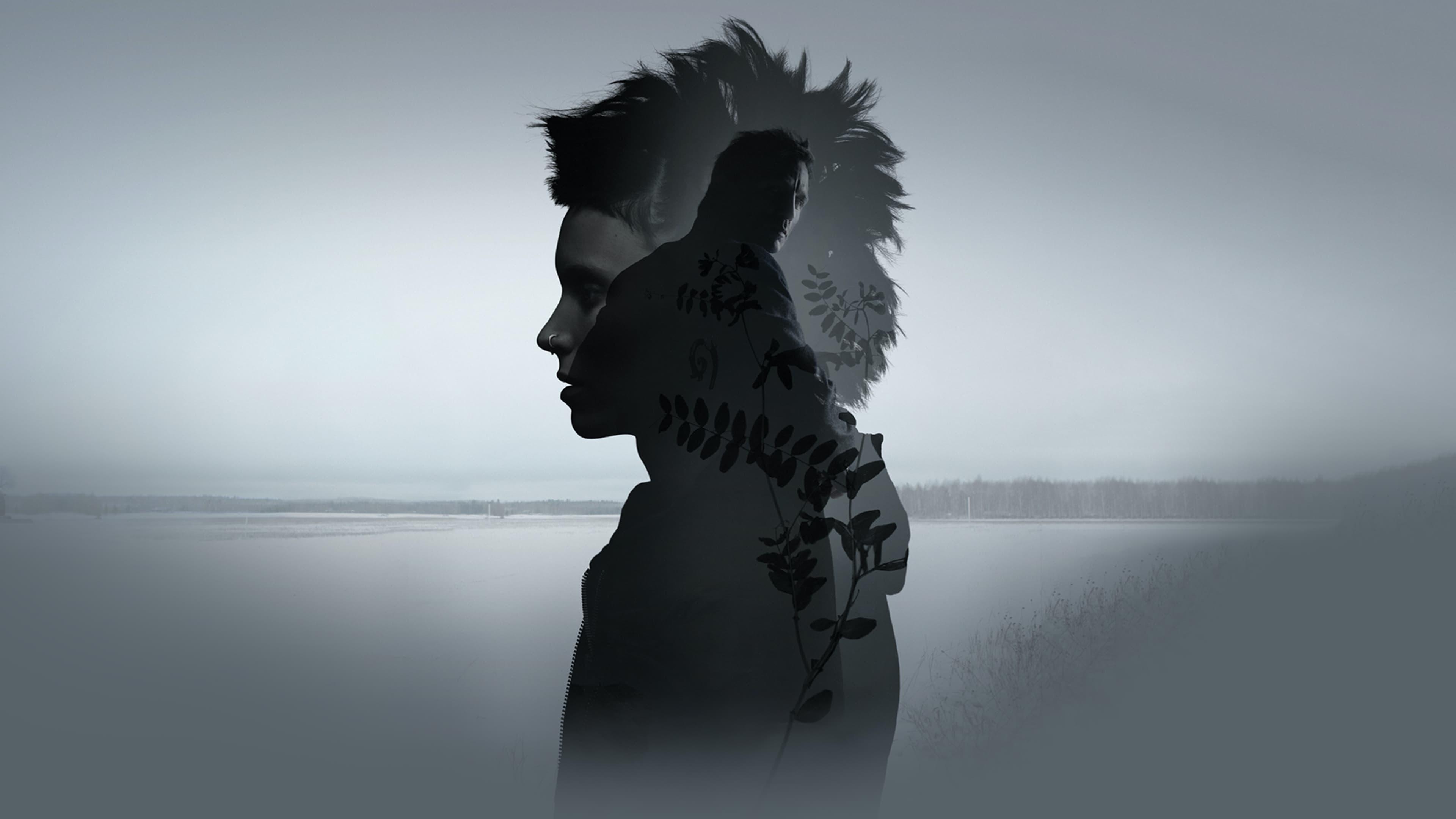 The Girl with the Dragon Tattoo 2011 movie scene