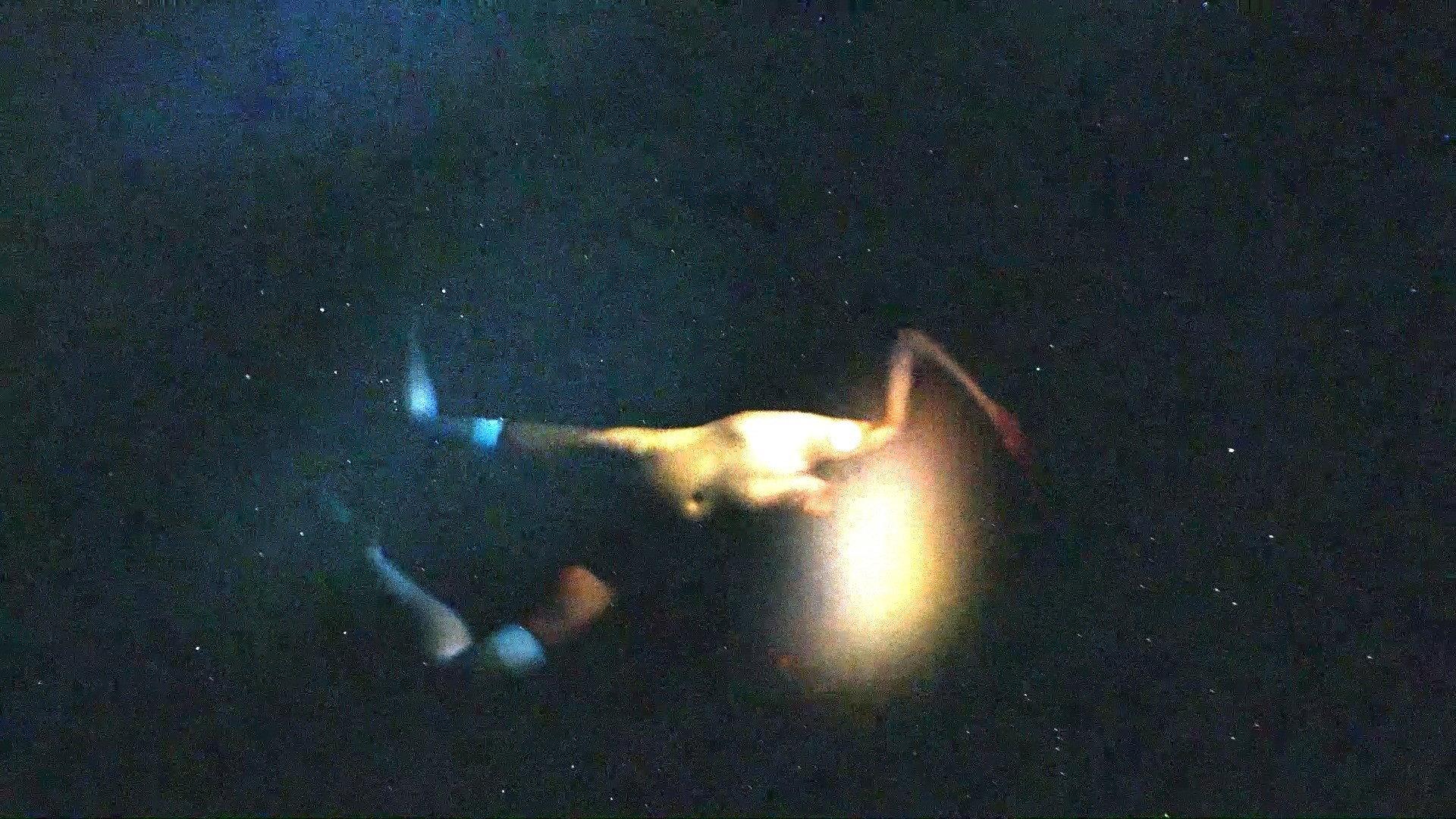 PROLIX 2024 movie scene