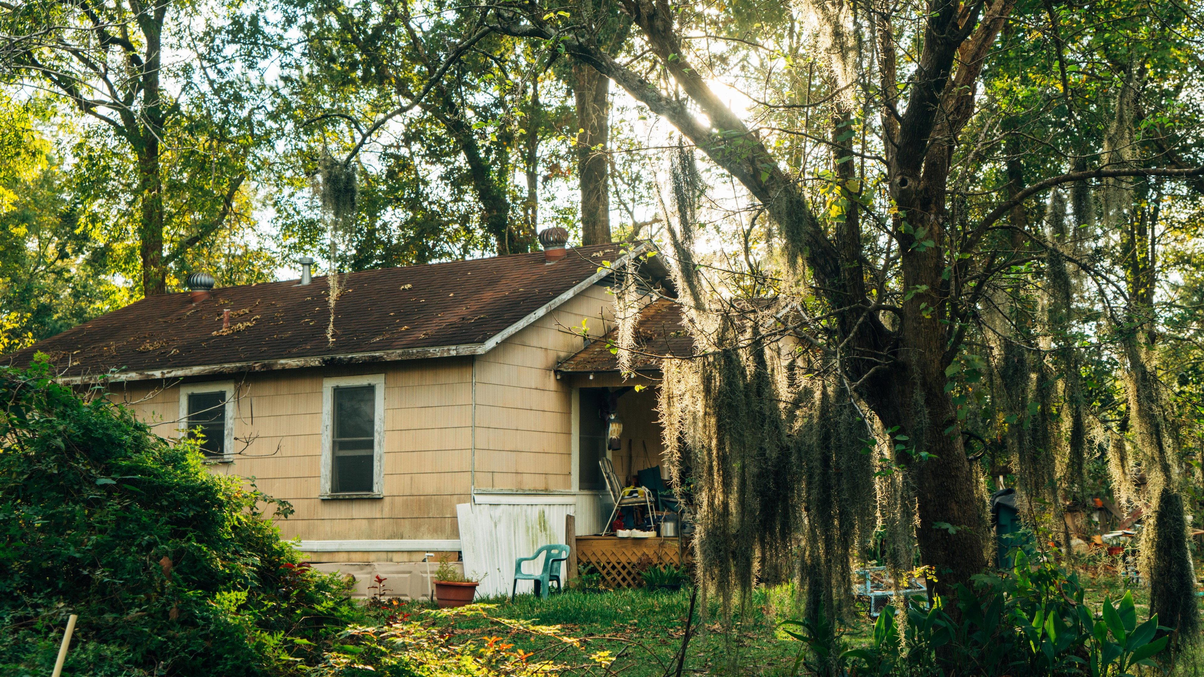 Mossville: When Great Trees Fall 2019 movie scene