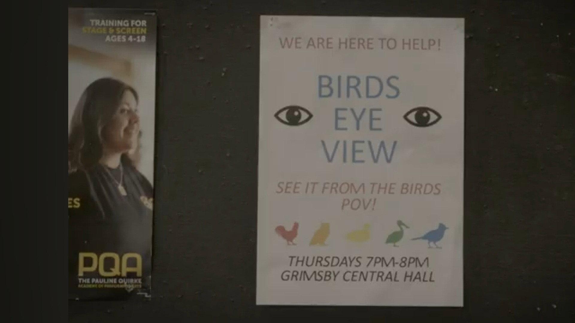 Birds Eye View 2026 movie scene