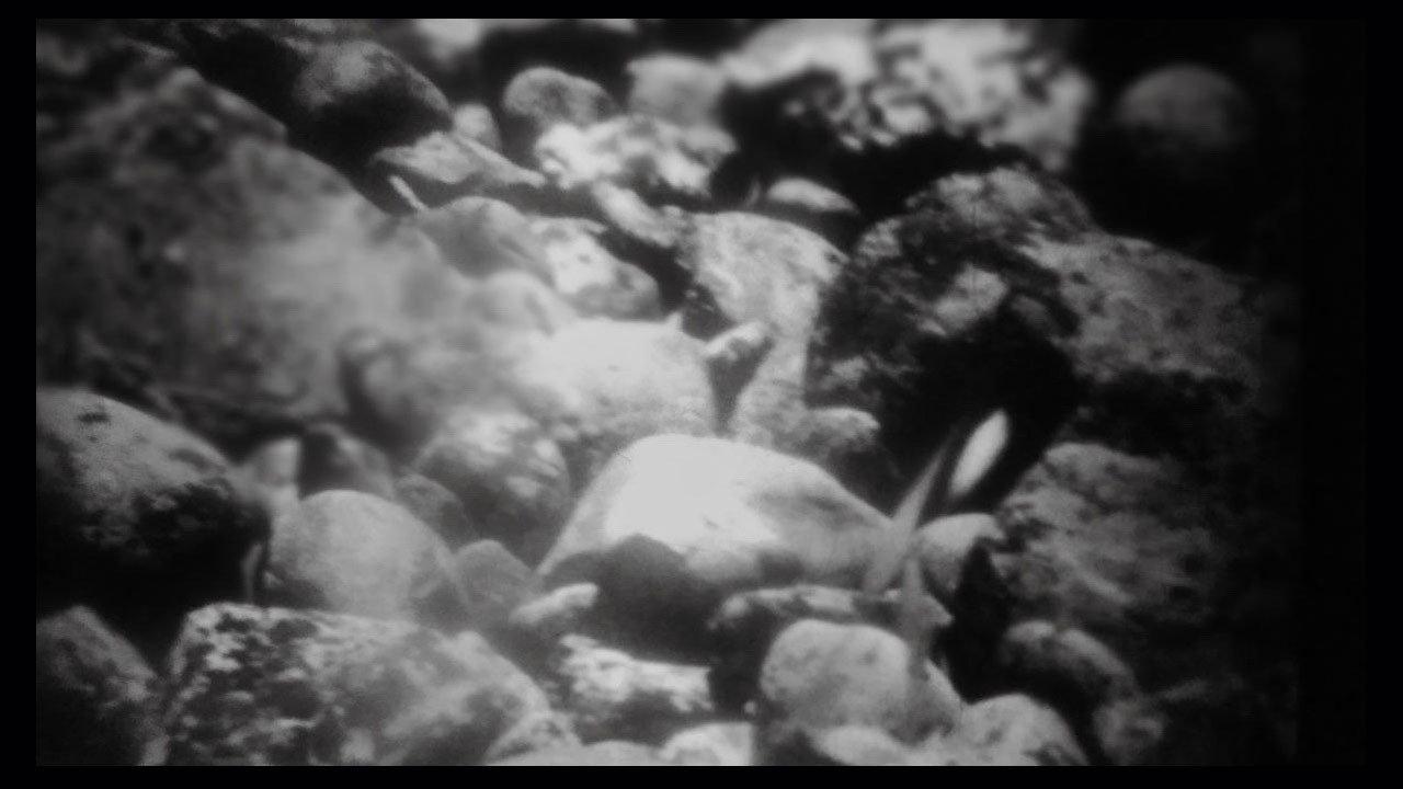 Mud and Dawn 2022 movie scene