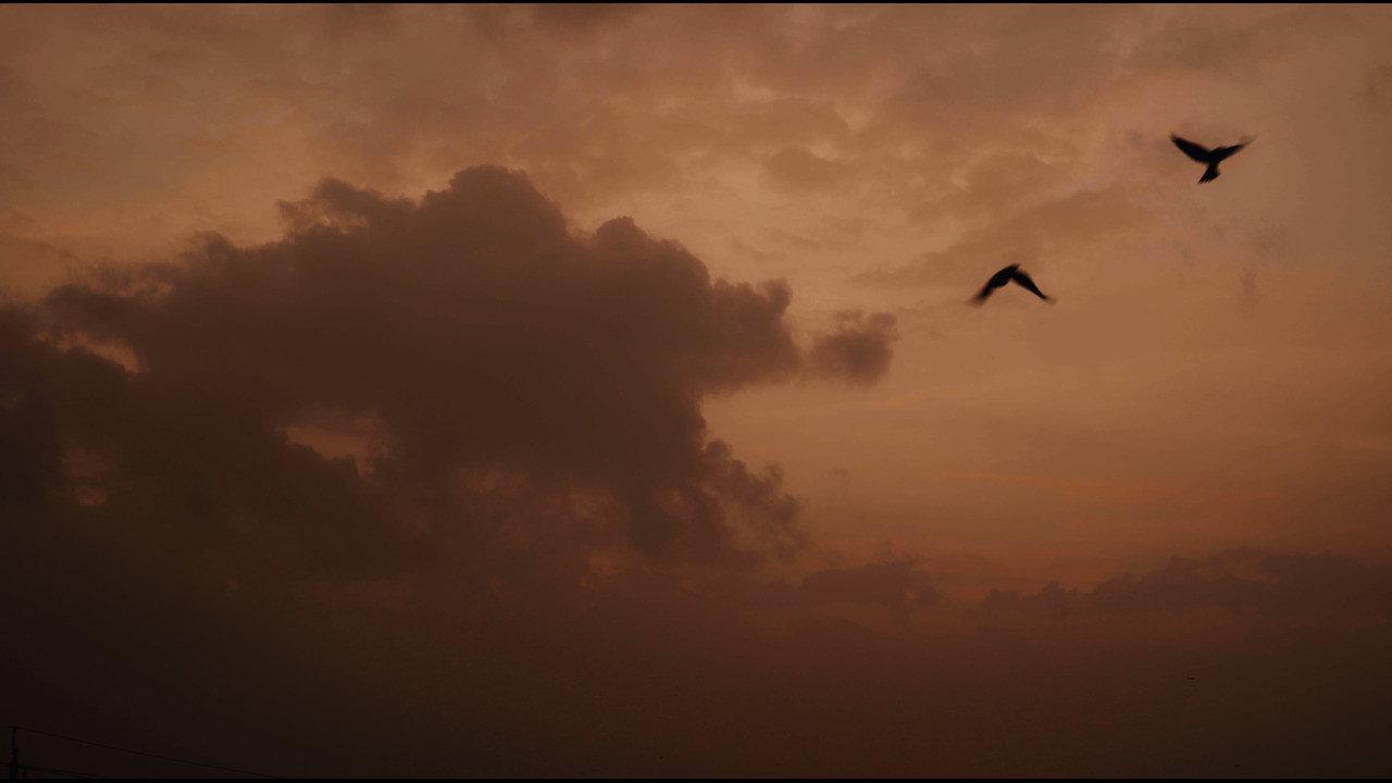 Lighthouse 2024 movie scene