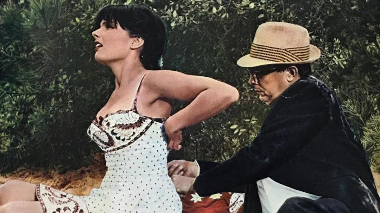 That Riviera Touch 1966 movie scene