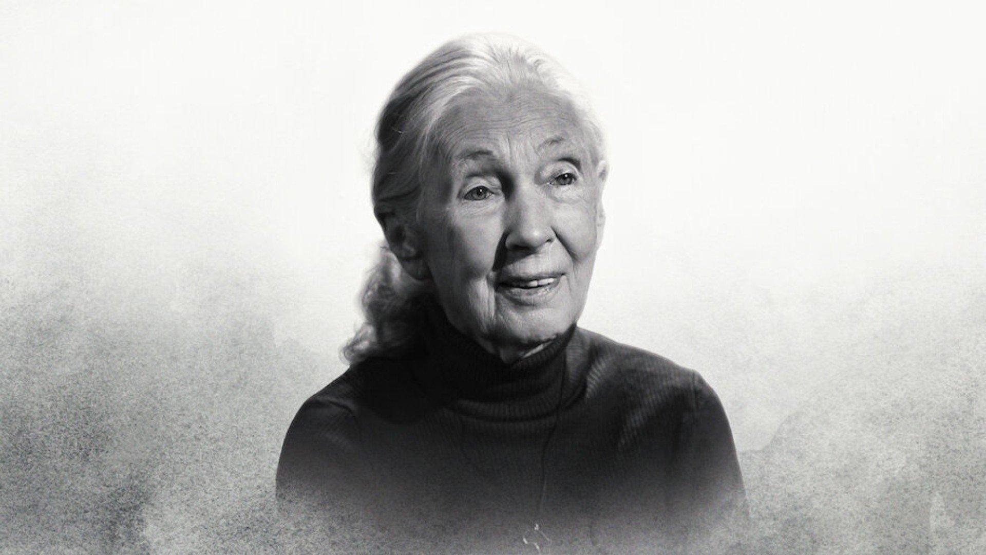 Famous Last Words: Dr. Jane Goodall 2025 movie scene