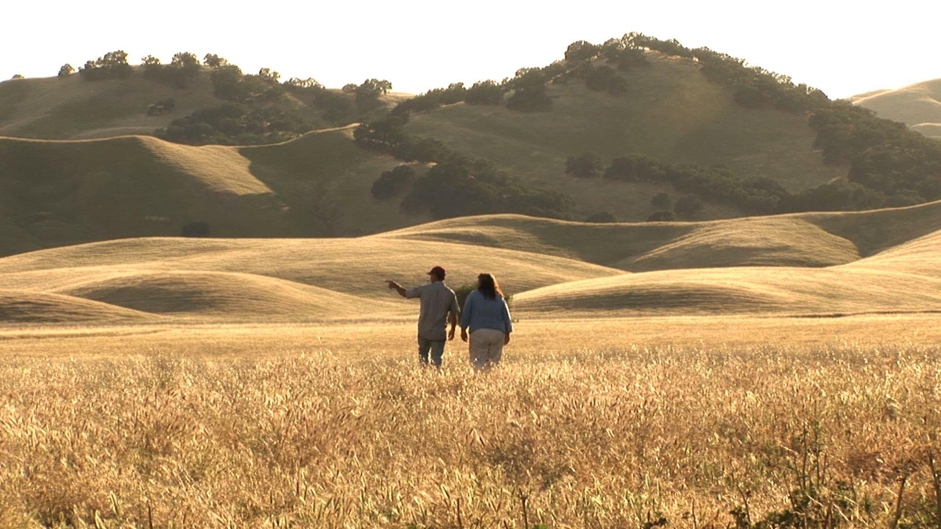 The Last Crop 2016 movie scene