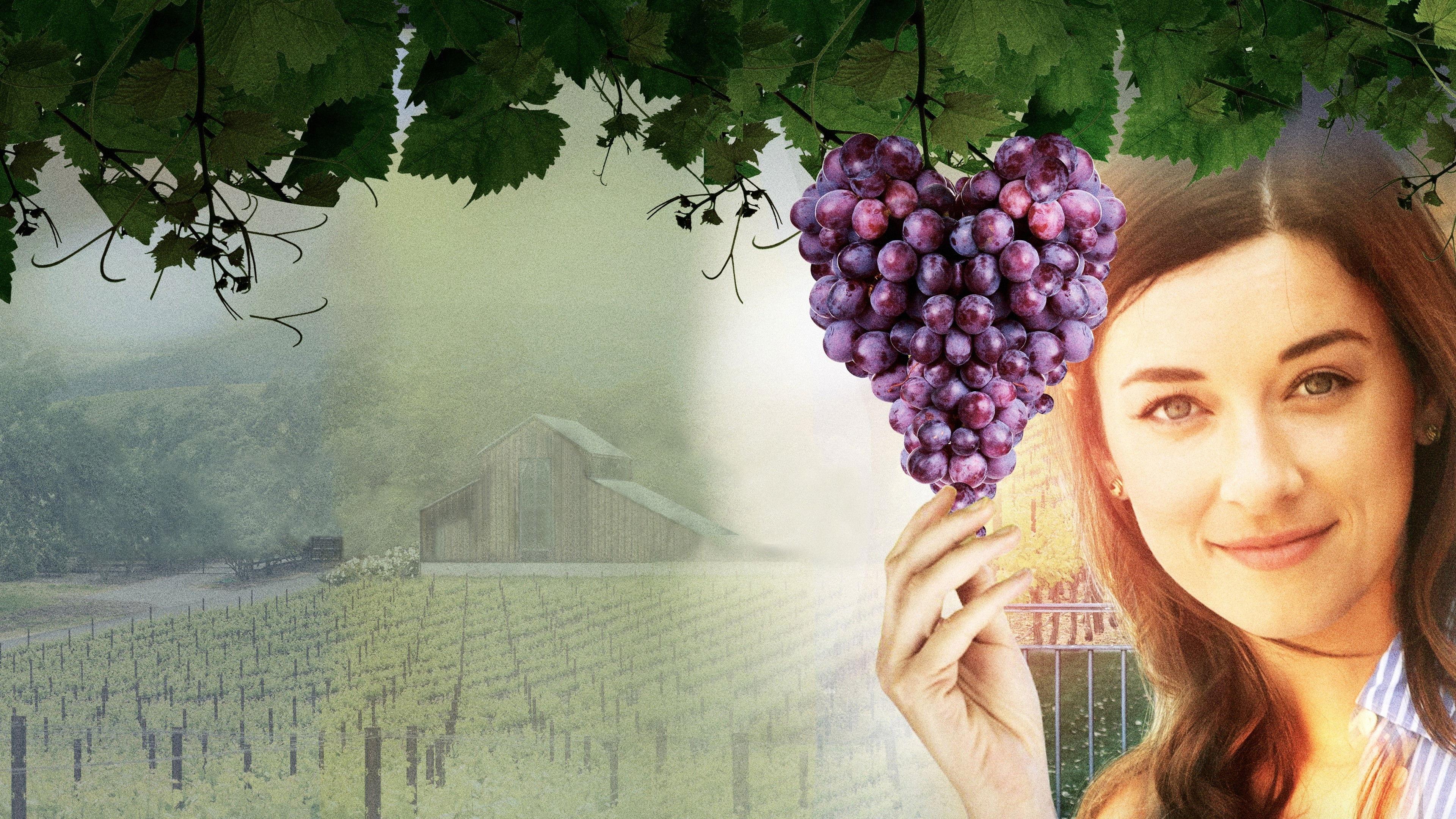 Love on the Vines 2017 movie scene